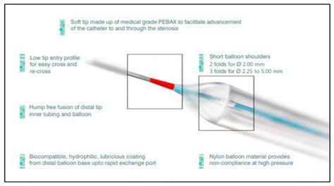 Ijerph Free Full Text Clinical Outcomes Of A Non Compliant Balloon