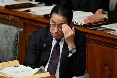 日本民调显示岸田内阁支持率降至成立以来最低水平新闻频道央视网