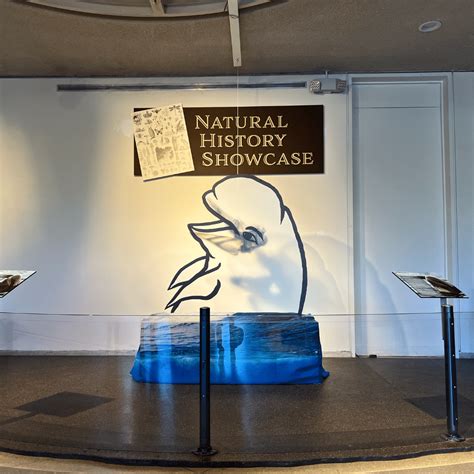 Natural History Showcase | EcoTarium