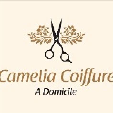 Camelia Chebahi Camelia Coiffure Coiffeur à Domicile à Monteux