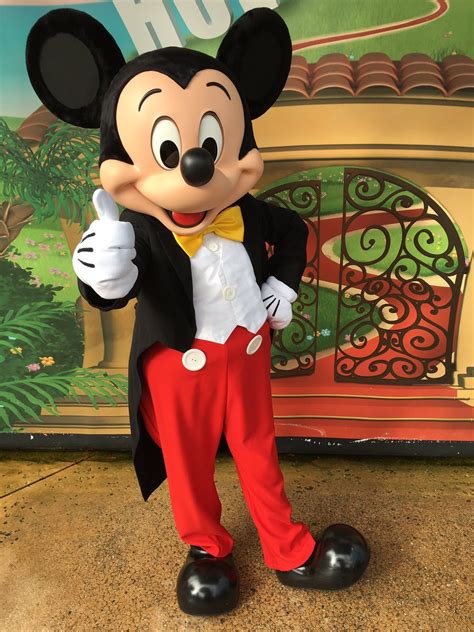 mickey mouse Mascot – Anil Events Bangalore