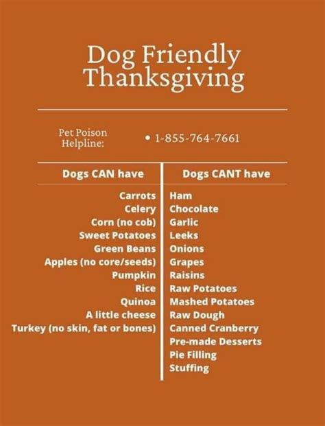 Dog Friendly Thanksgiving Rcoolguides