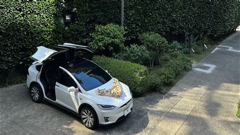 好好禮車 特斯拉結婚禮車 X Tesla Modelx 教堂婚禮 Youtube