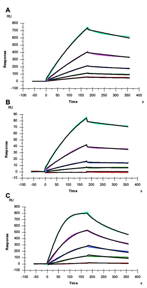 Spr Sensorgrams Of Sgp Rbd Of Wt Delta And Omicron Variants