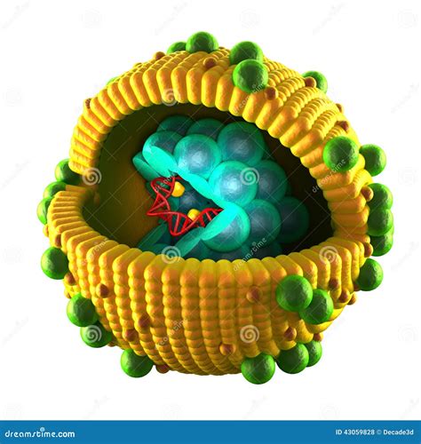 Virus Cell Mutations Process Vector Illustration Isolated On White