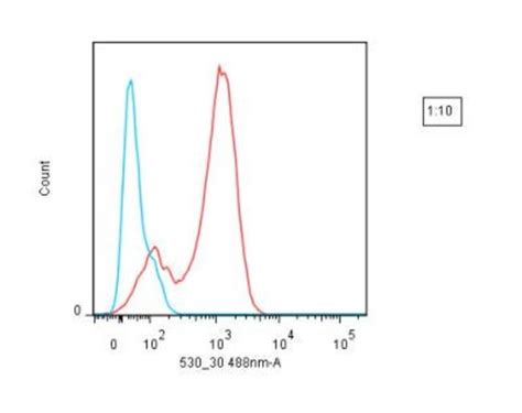 R D Systems Lightning Link R Rapid Dylight Antibody Labeling Kit