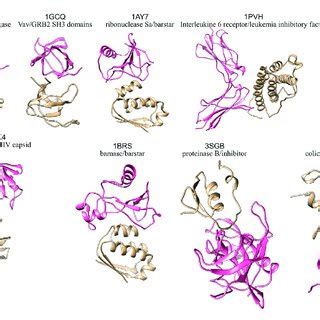 3D structures of the eight protein-protein complexes simulated in this ... 