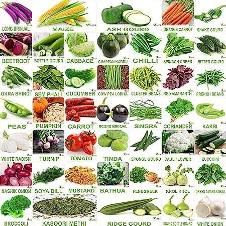 Buy No.1 Organic Winter & Summer Vegetable Seeds- Pack of 45 at Best ...