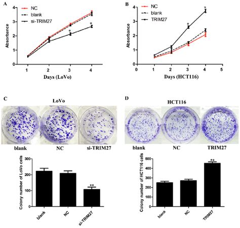 Cell Proliferation Assay Creative Proteomics