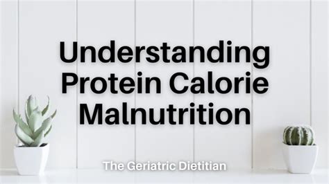 Understanding Protein Calorie Malnutrition - The Geriatric Dietitian