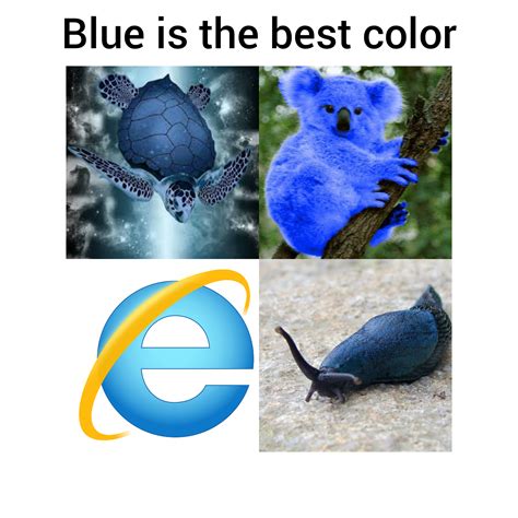 No guys, blue is the best color : r/memes