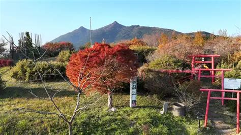 筑波山・山麓の紅葉名所、2024年紅葉見頃情報茨城vrツアー