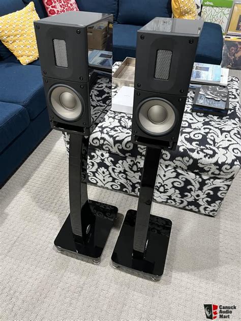 Raidho Xt Speakers And Raidho Stands With Isoacoustic Gaia Iii Photo