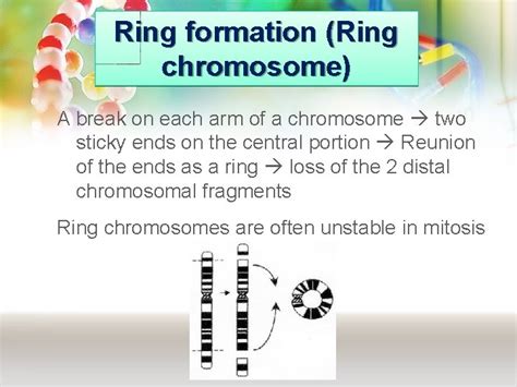 Medical Genetics Lecture 2 Chromosome Anomalies Muhammad Faiyazulhaque