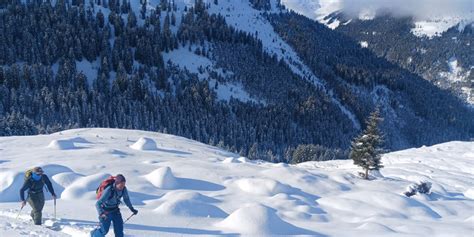 Westl Salzachgeier Meldungen Alpenvereinaktiv