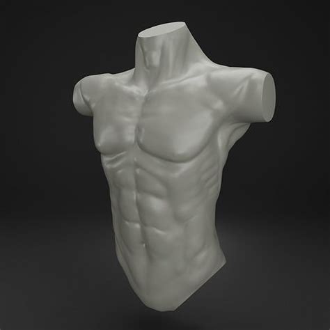 Male Torso Free 3D Model CGTrader