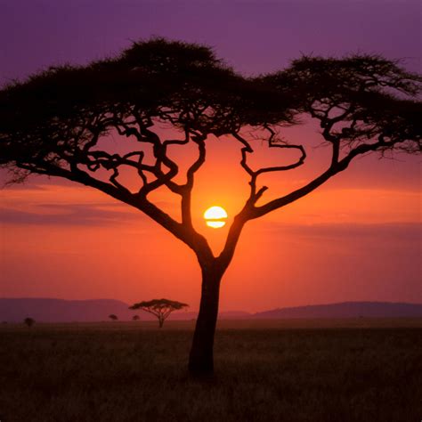 African Sunrise Wallpapers - Top Free African Sunrise Backgrounds ...