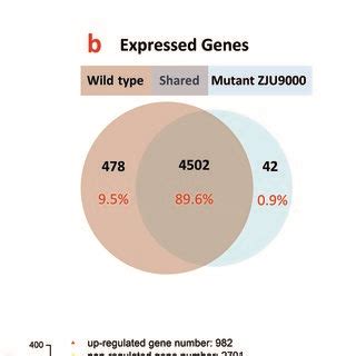 Growth Phenotype And General Analysis Of DEGs In Wild Type Arthrospira