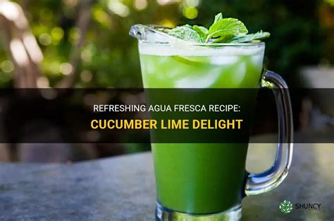 Refreshing Agua Fresca Recipe Cucumber Lime Delight Shuncy