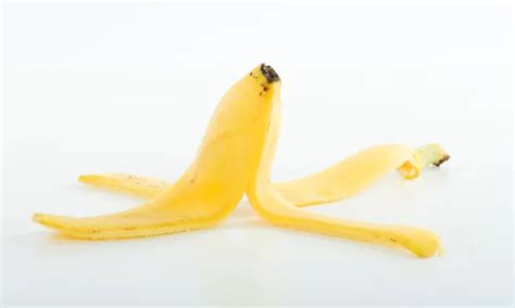 Can Dogs Eat Banana Peels?