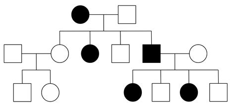 Inheritance Of X Linked Traits Wize University Biology Textbook