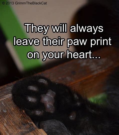 Grimm The Black Cat Meme Paw Print By Tarsicius Black Cat Memes Black Cat Quotes Crazy Cat