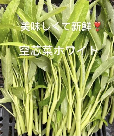 採りたて新鮮！生で頂ける 美味しいホワイト空芯菜 メルカリ