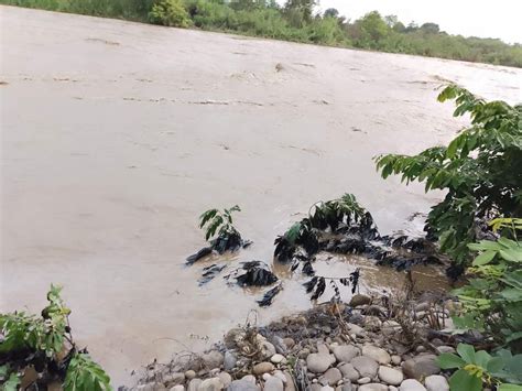 El Heraldo de Poza Rica Derrame de hidrocarburo en el río Cazones