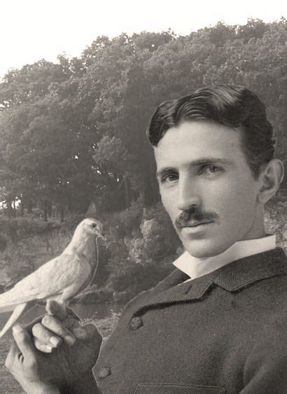 Nikola Tesla and Pigeons