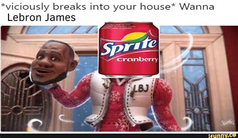 Lebron James Sprite Cranberry Wedgestory