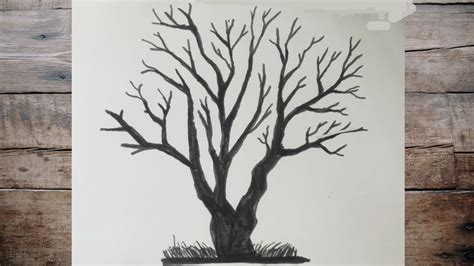 How To Draw A Tree Tree Drawing, Trees Drawing Tutorial,