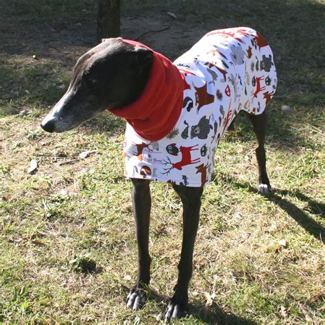 Chest and side of greyhound coat | Dog coats, Fur babies, Greyhound