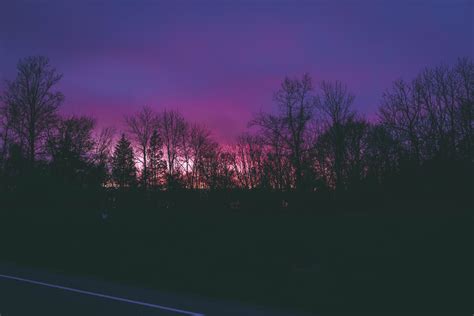 Purple Sky Photos, Download The BEST Free Purple Sky Stock Photos & HD ...