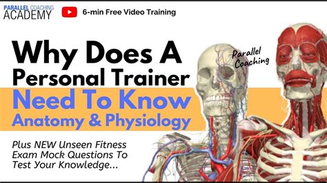 Why Does A Personal Trainer Need To Know Anatomy And Physiology Youtube