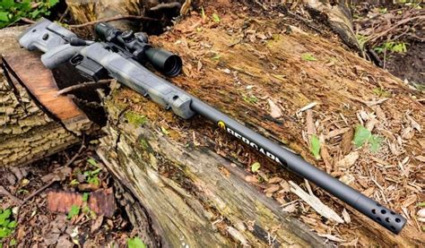 AllOutdoor Review Bergara B 14 Wilderness HMR 6 5 Creedmoor