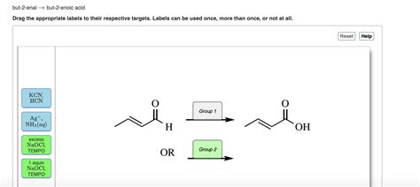 Solved Trans 1 Bromobut 2 Ene Trans Pent 3 Enoic Acid Drag Chegg