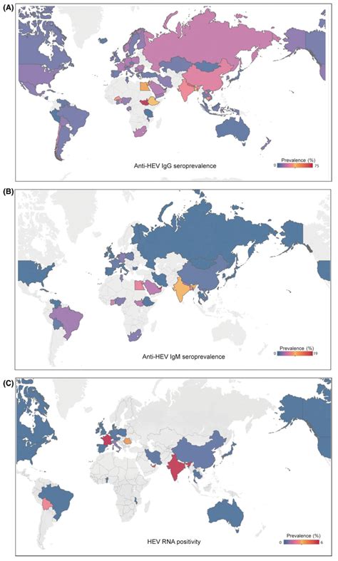 Distribution Of Hepatitis E Based On Igg Seroprevalence A Igm