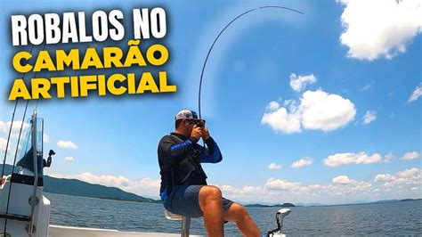 PESCA DE ROBALOS CAMARÃO ARTIFICIAL Pesca na Baia da Babitonga