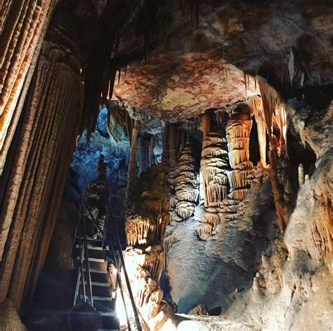 Jenolan Caves offering great deals for locals - Visit Oberon