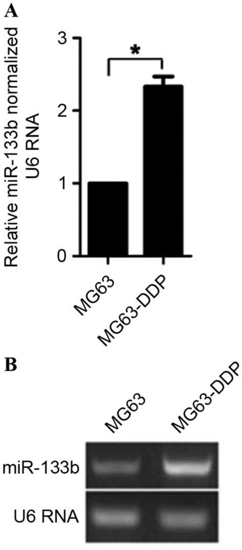 Mir‑133b Induces Chemoresistance Of Osteosarcoma Cells To Cisplatin