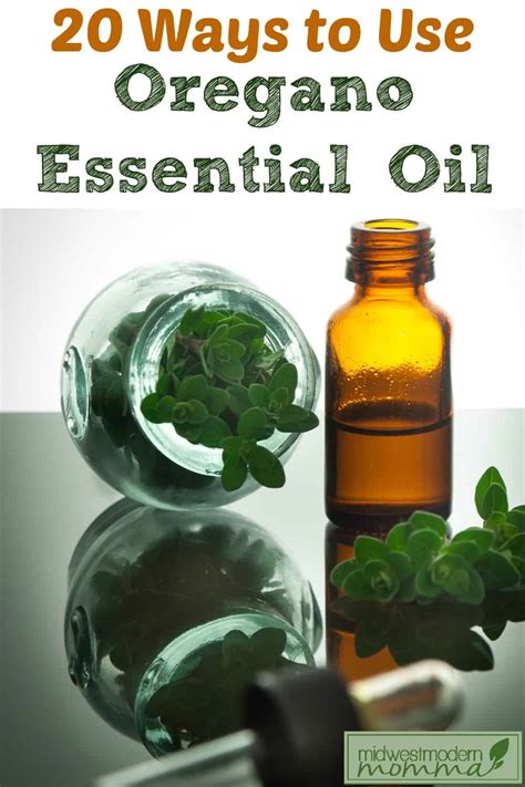 Uses For Oregano Essential Oil Essential Oil Uses For A Healthy Life