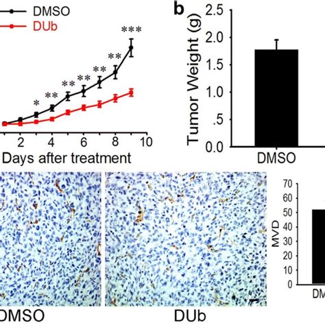 Decylubiquinone Suppresses Breast Cancer Growth And Metastasis By