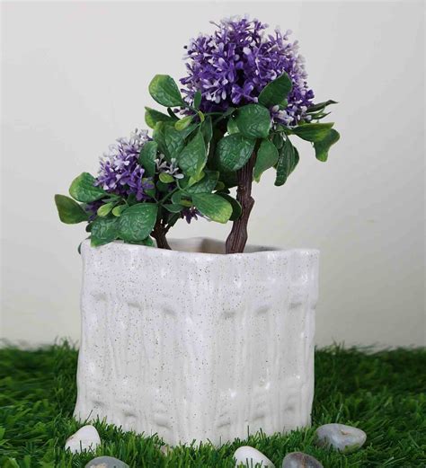 Buy White Ceramic Wooden Box Planter at 42% OFF by Justoriginals ...