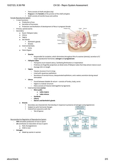 Solution Reproductive System Assessment Ch Medical Surgical Nursing