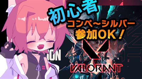 【参加型valorant】初心者ヴァロ～シルバー帯 コンペかアンレ 参加ok 男性vtuber Valorant動画まとめ