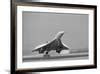 'Concorde on First Takeoff from New York' Photographic Print | AllPosters.com