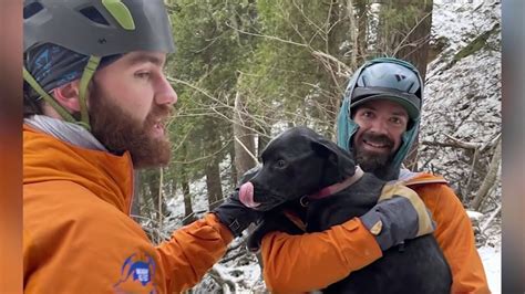 Dog Rescued After Falling Off Cliff At Pictured Rocks In Michigans