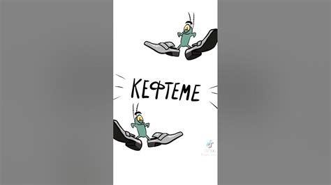 Подкрадули бархатные,тяги #чтозатяги #подкрадули #shorts - YouTube