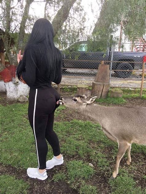 Ass Lick Blank Template Imgflip
