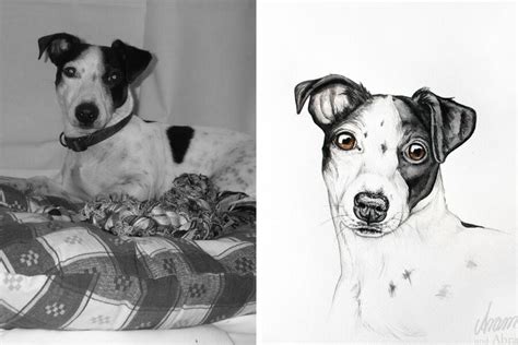 Illustrationen Und Portraits Hund Malen Lassen Portfolio Aram Und